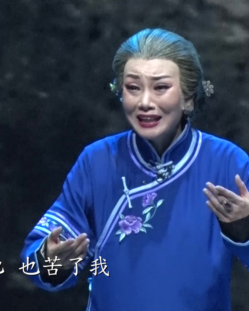 豫剧名家汪荃珍高徒王丹演唱《风雨故园》小蜗牛，表演以假乱真！