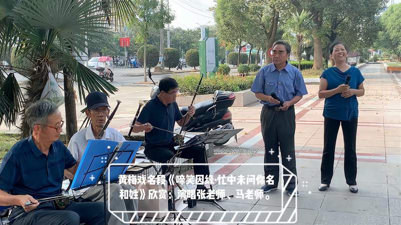 黄梅戏名段《啼笑因缘·忙中未问您名和姓》：无为市民戏曲文艺