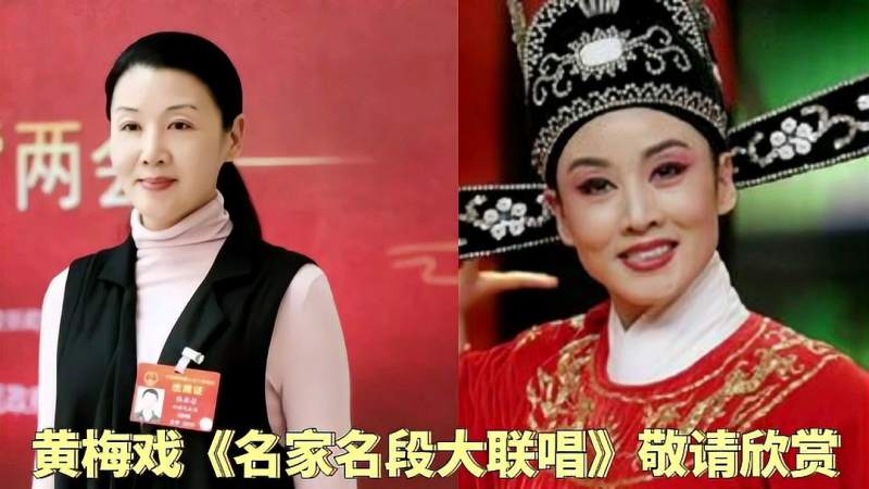黄梅戏《名家名段大联唱》欢迎您的欣赏和分享