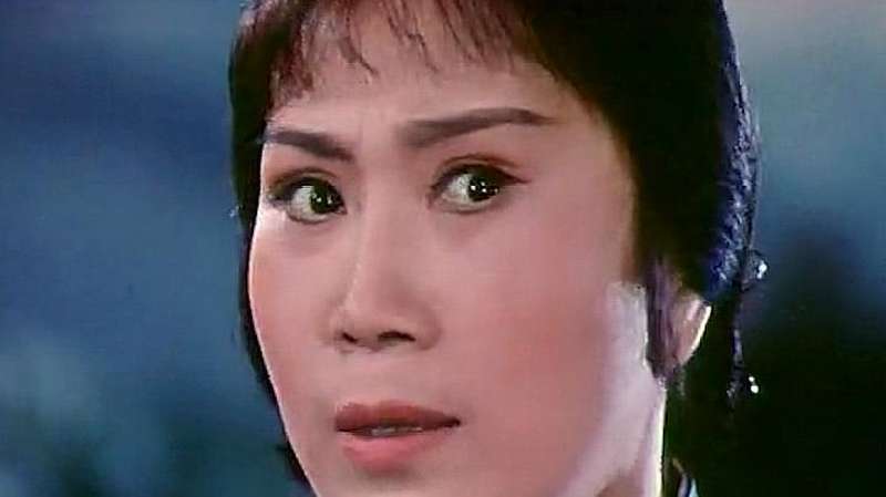 1976现代京剧电影《红云岗》，选段《为亲人细熬鸡汤》，经典之作