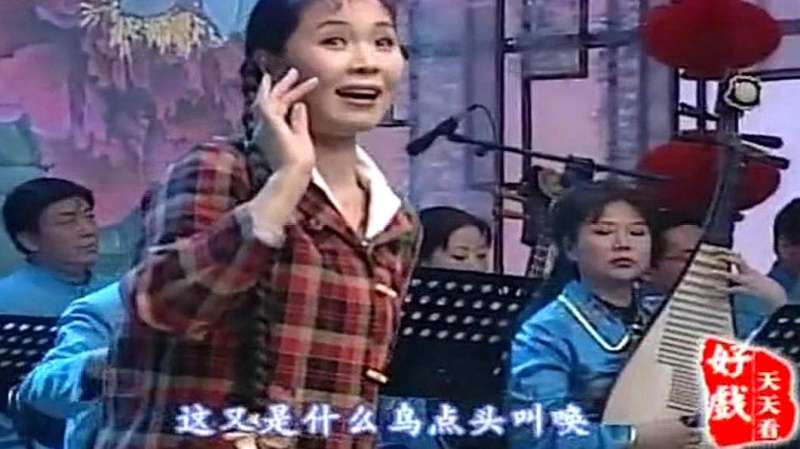 梨园春：豫剧《朝阳沟》表演：杨红霞、盛红林