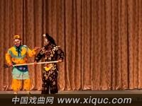 河北梆子【美猴王大战金钱豹】拧旋子 短打 耍叉 可爱的猪八戒和黄鼠狼