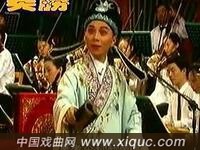 黄梅戏【罗帕记思妻】1998年首届严凤英决赛
