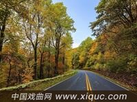 越剧【泪洒相思地】