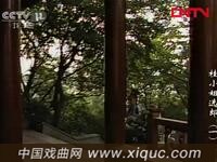 3集黄梅戏电视剧【桂小姐选郎】全集
