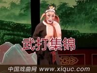 河北梆子【孙悟空大战金钱豹】武打集锦