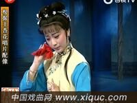 越剧【叶香盗印】