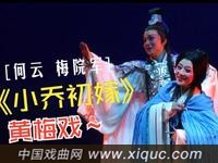 黄梅戏【小乔初嫁】高清完整版