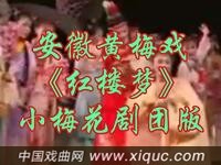 黄梅戏【红楼梦】小梅花剧团版
