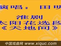 淮剧【太阳花】选段【天地间声声呼唤儿英魂】
