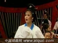 黄梅戏【血冤探监】1998年首届严凤英奖决赛