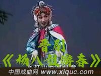 晋剧【杨八姐游春】全集