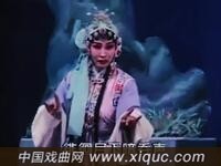 河北梆子【夜宿花亭】选段 徘徊月下暗吞声