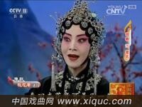 豫剧【桃花庵】【秦雪梅】【朝阳沟】选段