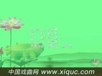 吕剧【乡亲相亲】