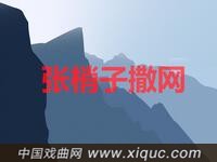 湖南花鼓戏【张梢子撒网】