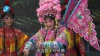 莆仙戏【护储姻缘】全集 婵媛剧团