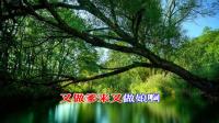 淮剧老唱片【舍妻】之三