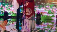 晋剧【卢花】