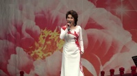 河北梆子【洪湖赤卫队】选段
