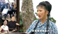 黄梅戏【忠奴魂】中那些好听的唱段