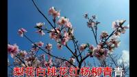 晋剧伴奏 【富贵图】三月里春风暖万物欣荣
