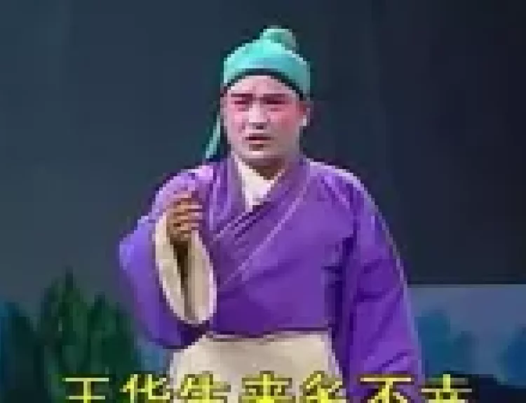 淮剧  【王华买父】 全剧（江淮版）