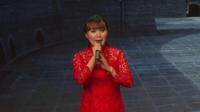 河北梆子京津冀名家名段专场  上部