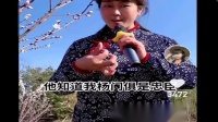 河北梆子【辕门外三声炮如同雷震】